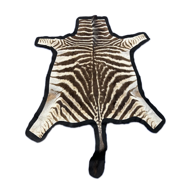 Bungalow Rose Real Zebra Skin Rug (Small Size) Wayfair